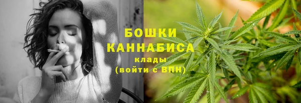 гидра Михайловка