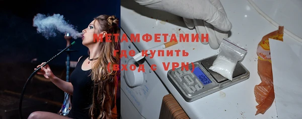 гидра Михайловка