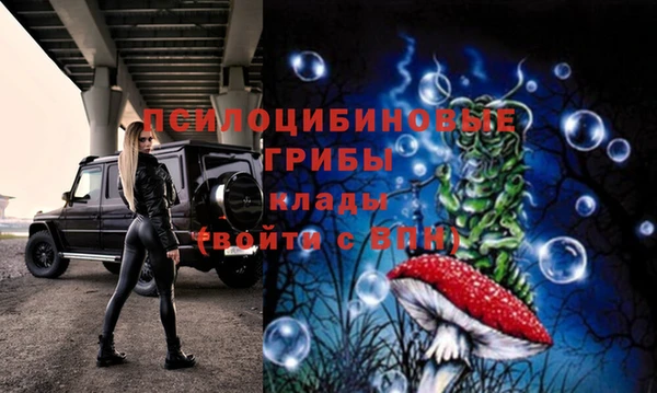 mdma Михайлов