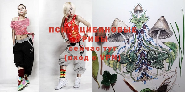 mdma Михайлов