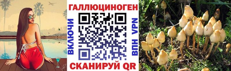 как найти закладки Болгар OMG как войти Галлюциногенные грибы ЛСД